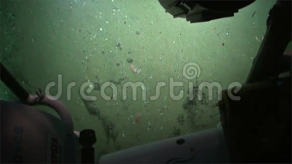 哥斯达黎加太平洋科科斯岛海底海底景观视频的预览图
