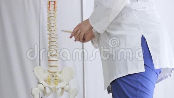 医学脊柱布局医生指向脊椎视频的预览图