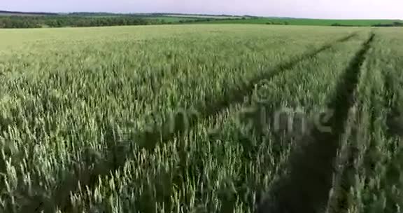 绿色的田野和多云的天空间接射击视频的预览图