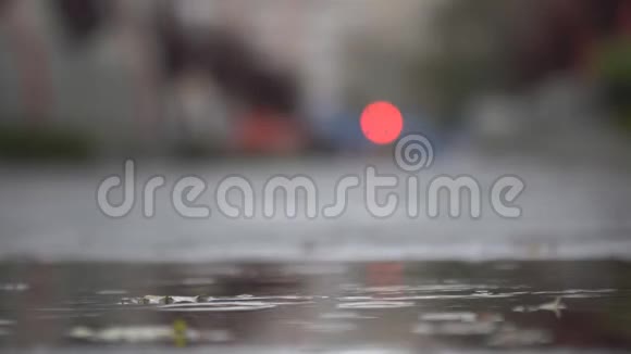 雨滴落在沥青上的水坑里视频的预览图