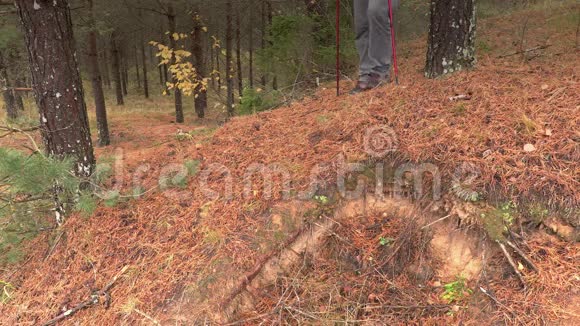 徒步旅行者小心地从斜坡上下来视频的预览图