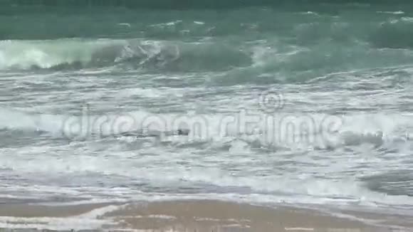 强大的风暴海波视频的预览图