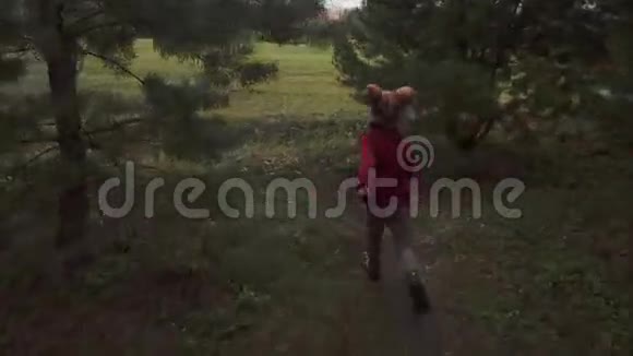 在秋天公园或森林里奔跑的小女孩视频的预览图
