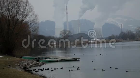 在工厂前用鸭子拍摄湖景视频的预览图