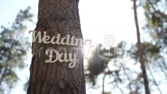 婚礼用树装饰老式木制铭文婚礼日视频的预览图
