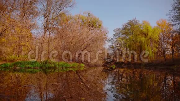 美丽自然金秋时节视频的预览图