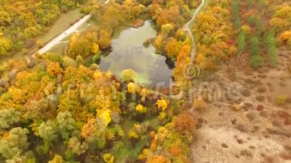空气视图秋季飞行于风景地形之上视频的预览图