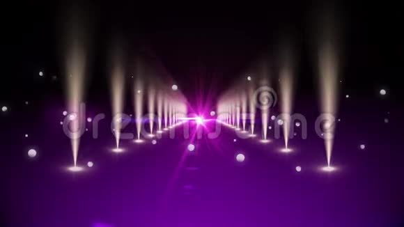 紫色走道灯光明亮视频的预览图