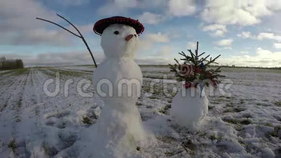 雪人与圣诞树在田野时间流逝4K视频的预览图
