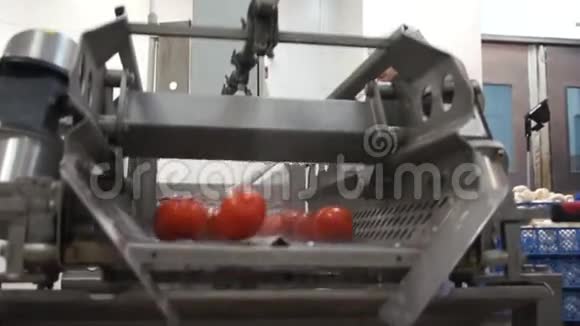 蔬菜洗衣机视频的预览图