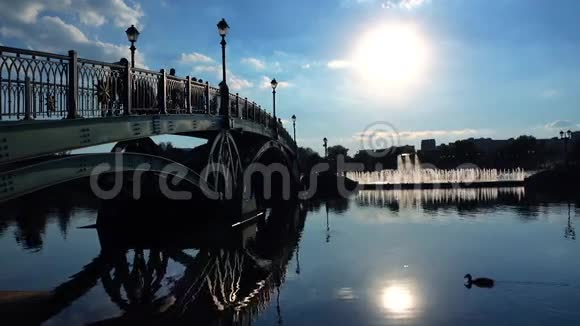 拱形公园桥步行人和浮鸭的剪影4K视频视频的预览图