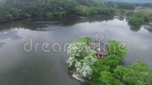 韩国韩国亚洲的米连吉水库边缘树视频的预览图