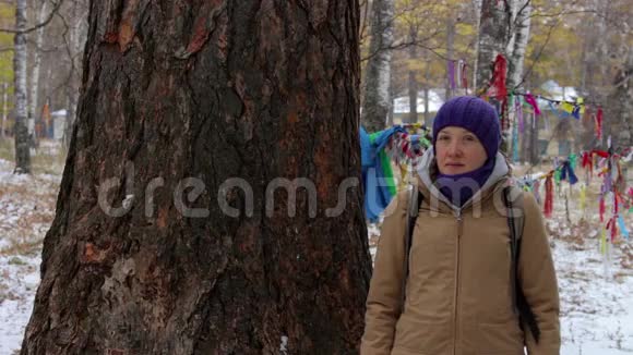 一个女孩的肖像靠近一棵大古树落叶松视频的预览图