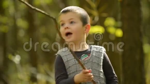 小男孩在树林里玩视频的预览图