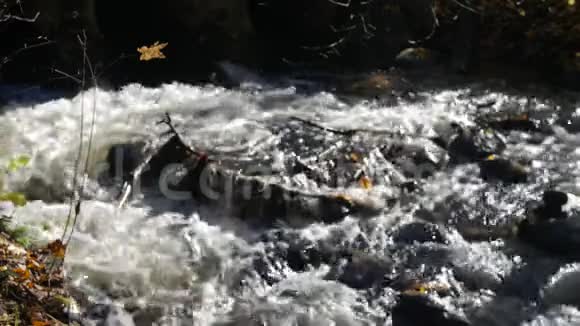 近景拍摄的溪水在山溪周围有黄色和棕色的秋叶视频的预览图