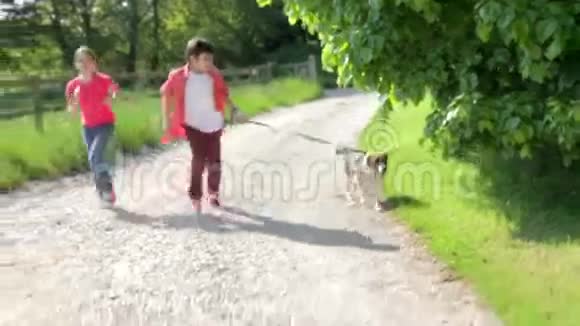 儿童带着狗在乡间小路上奔跑视频的预览图