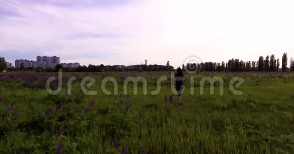 女孩正走在田野里在羽扇豆花丛中视频的预览图