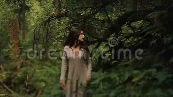 美丽而神秘的森林仙女穿着长长的刺绣连衣裙在喀尔巴阡山脉的山林中行走马格视频的预览图