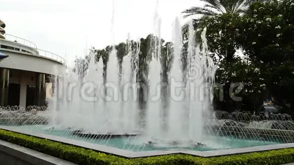 花园里的喷泉水视频的预览图