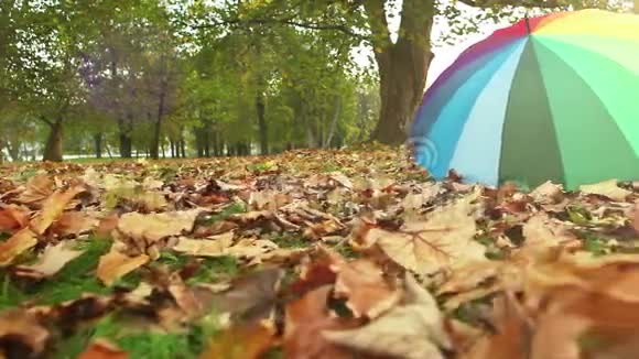 一把五颜六色的伞躺在公园里的树叶上视频的预览图