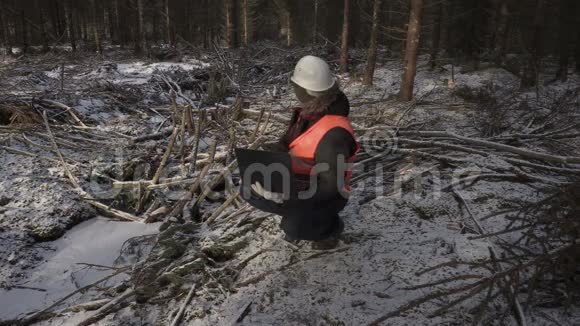 Lumberjack带着笔记本电脑检查被毁的森林视频的预览图
