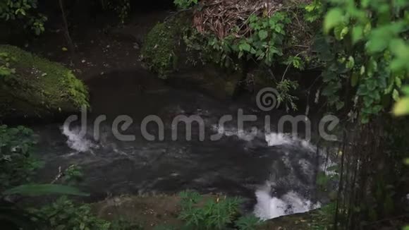 天然丛林中的河流印度尼西亚巴厘雨林视频的预览图