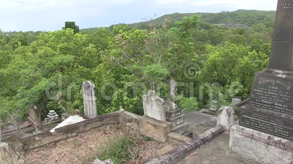 山坡墓地与晨鸟鸣视频的预览图