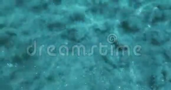 蓝色热带加勒比海景观纹理效果背景波浪运动无缝环视频的预览图
