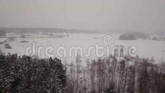 冬季景观以森林田野河流为主冬季景观视频的预览图