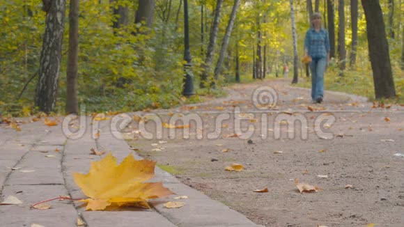 落叶躺在公园的路上视频的预览图