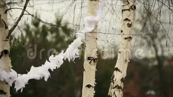 用纸花环装饰的树视频的预览图
