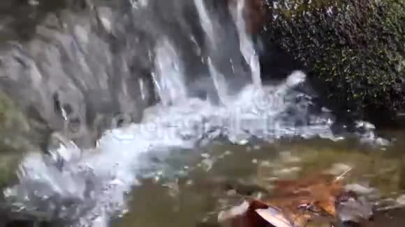 关闭苔藓岩石和气泡在清楚的快速水的马什叉瀑布营地溪州公园和森林WV视频的预览图