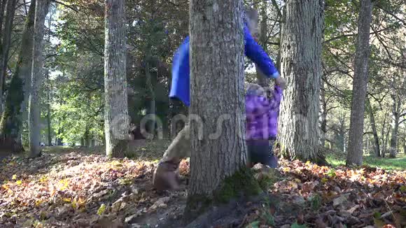 活跃的女人手里拿着婴儿在秋天的树木和树叶之间奔跑4K视频的预览图