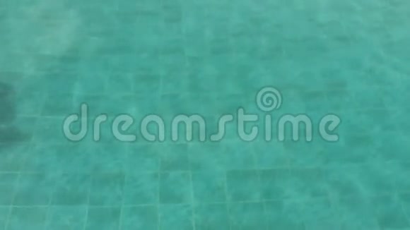 游泳池的蓝水运动视频的预览图