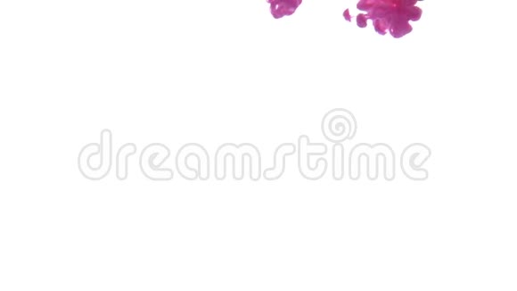 粉墨水滴在白色背景上视频的预览图