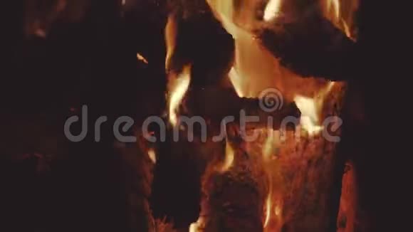 燃烧篝火的背景4K视频的预览图