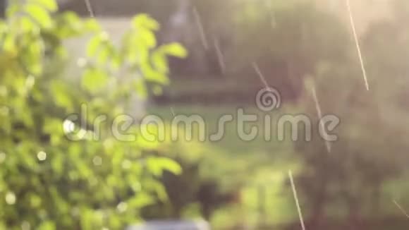 雨滴和太阳气氛视频的预览图