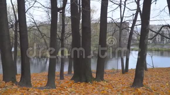 城市公园的秋季景观视频的预览图