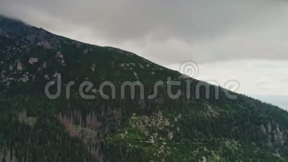 山岩山上松林的鸟瞰图视频的预览图