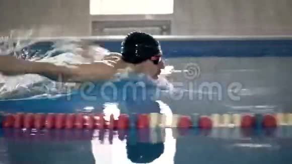 男游泳运动员在游泳池里游泳蝶泳男子游泳视频的预览图
