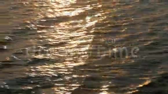 日落时的水面视频的预览图