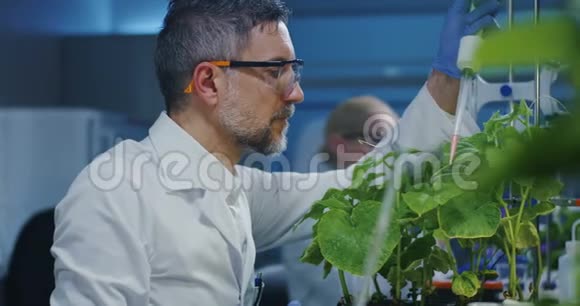 科学家试验绿色植物视频的预览图