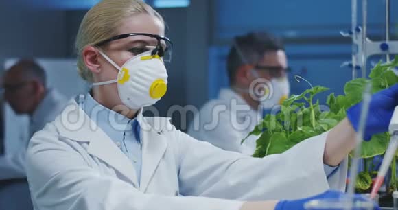 科学家试验绿色植物视频的预览图