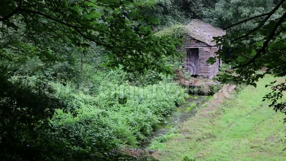 古老的石头在树林里造了房子和一条小溪视频的预览图