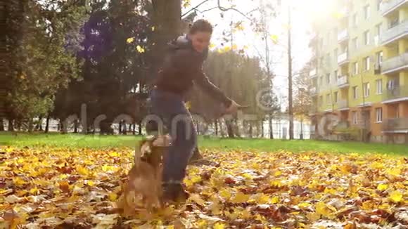 慢镜头女主人在他们家外面的一个秋日和她的宠物玩耍视频的预览图