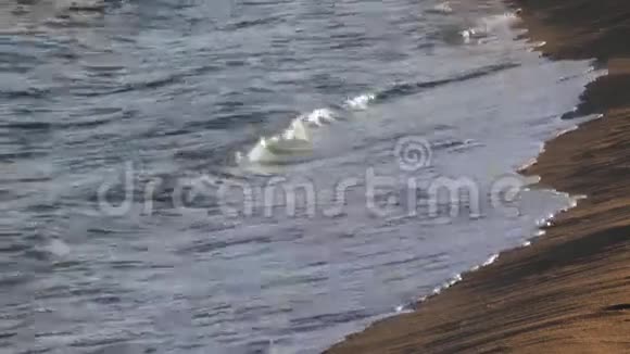 海浪拍打海岸的细节01视频的预览图