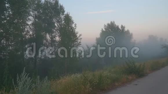 乡村道路上的神秘迷雾视频的预览图