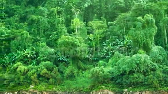 湄公河两岸的丛林老挝视频的预览图