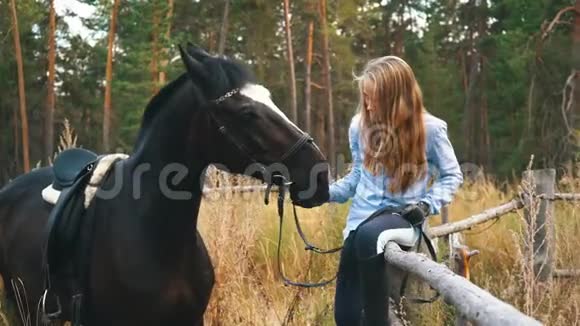 美丽的女孩关心她的马关注女孩视频的预览图