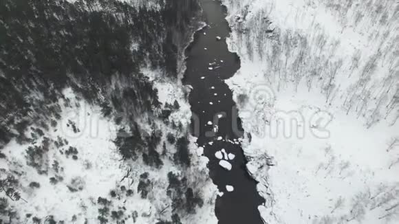 有一个美丽的冬季空中飞行过山链景观令人惊叹一片白雪覆盖的森林视频的预览图
